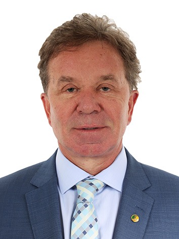 Foto oficial de Luiz Fernando Faria